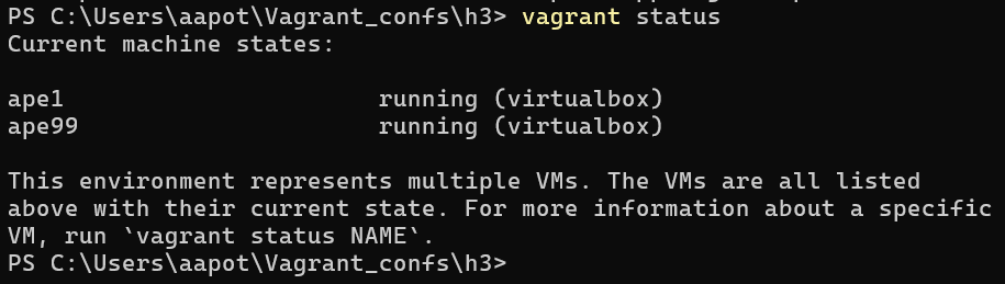 Vagrant status komento