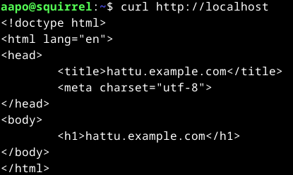 Kuva curl-komennon vastauksesta