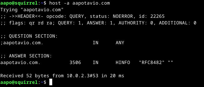 host-komento -a valinnalla osoitteeseen aapotavio.com
